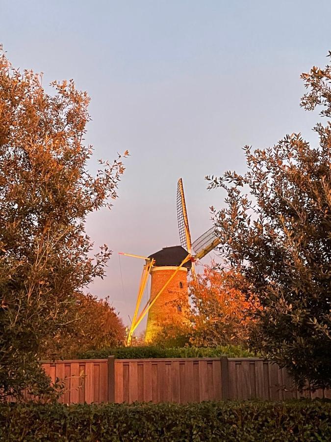Gastenverblijf Bij De Buuren Dirksland Kültér fotó