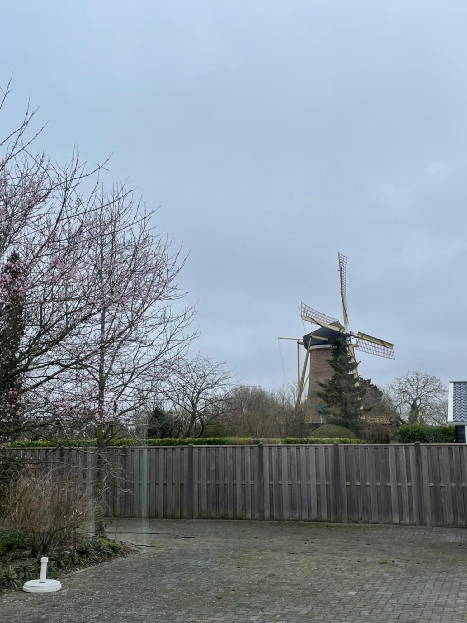 Gastenverblijf Bij De Buuren Dirksland Kültér fotó