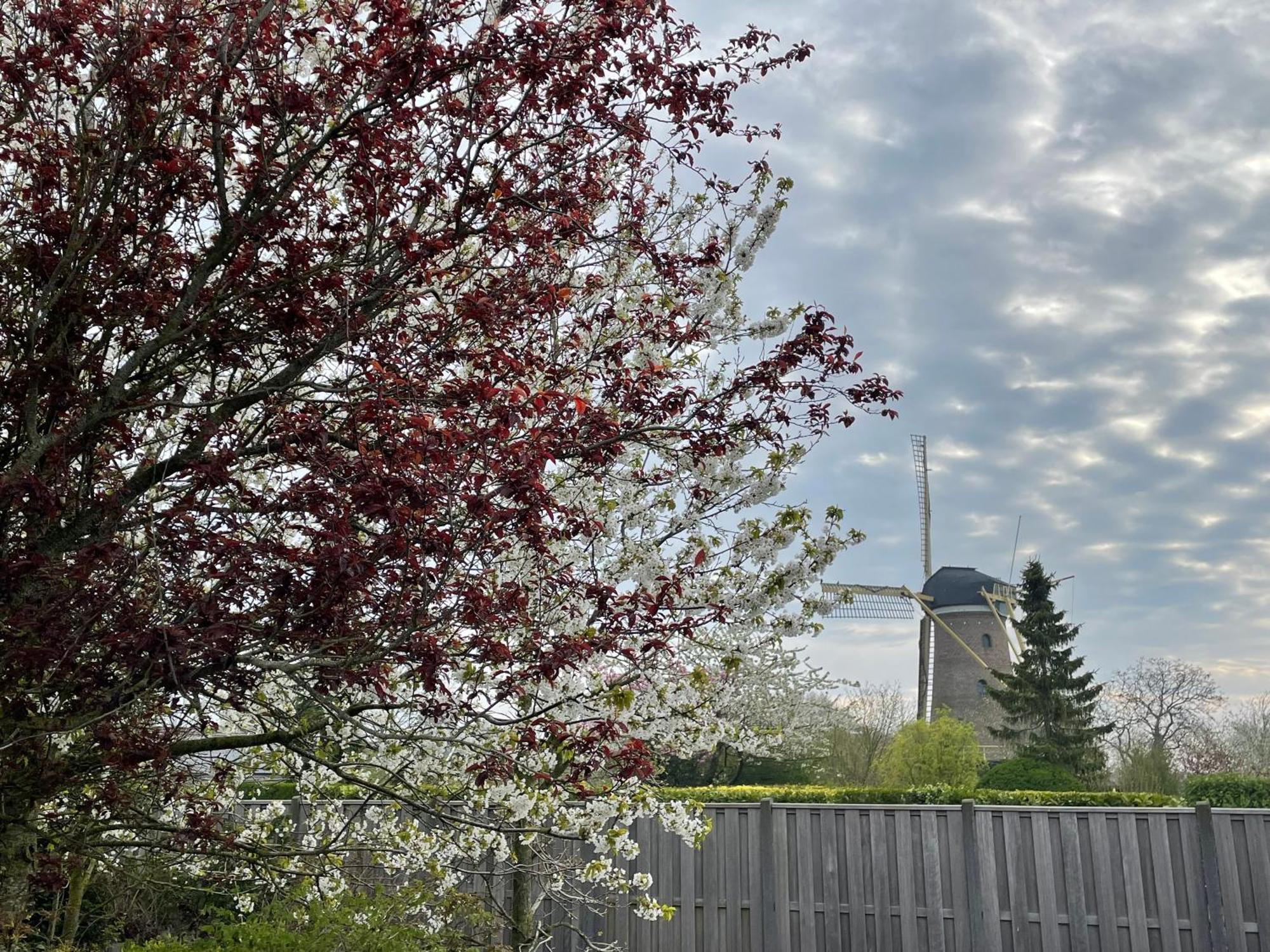 Gastenverblijf Bij De Buuren Dirksland Kültér fotó